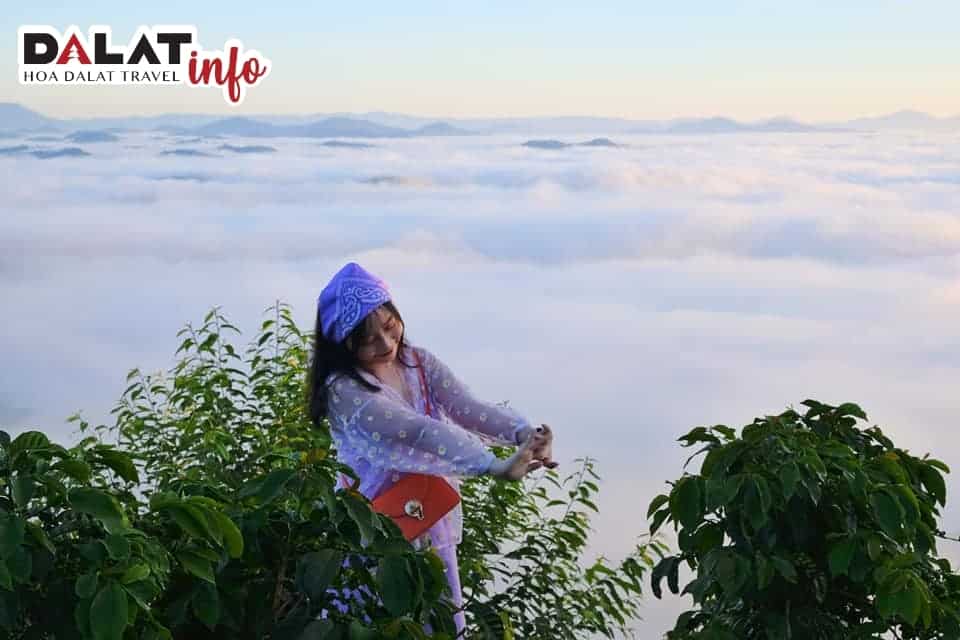 Săn mây tại Đỉnh LangBiang