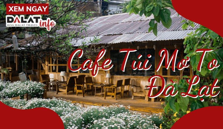 Cafe Túi Mơ To Đà Lạt