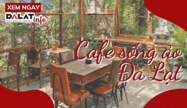 Cafe sống ảo Đà Lạt