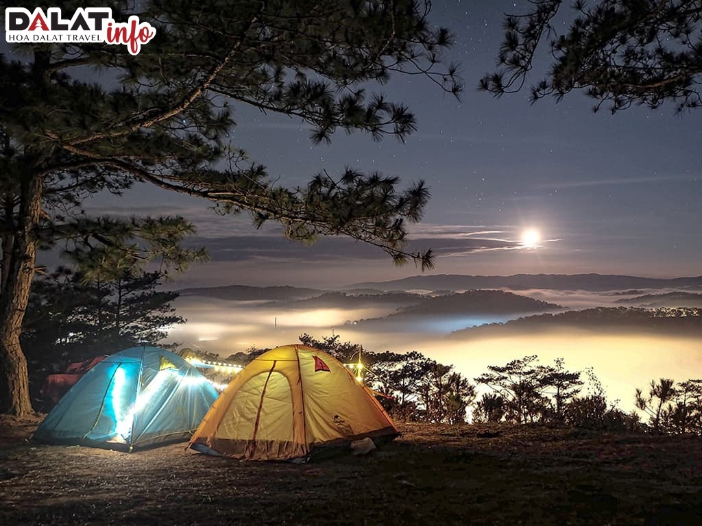 Cắm trại săn mây là một trải nghiệm thú vị khi đến Đà Lạt