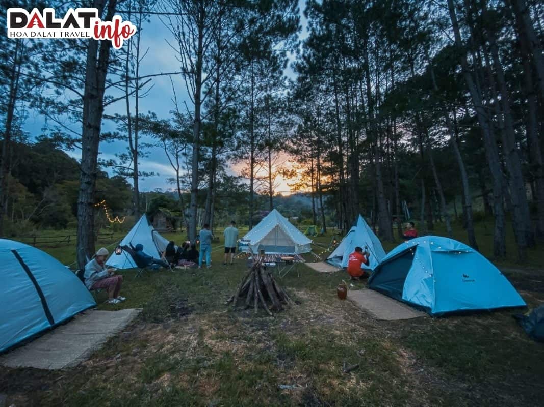 Địa điểm cắm trại mang đến cảm giác chill