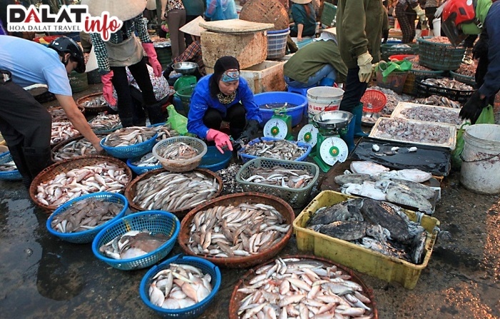 Chợ cá Hạ Long - Chợ hải sản tươi ngon