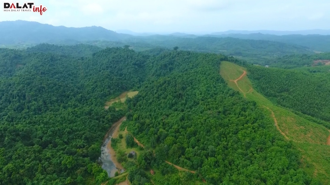 Hệ thống rừng nguyên sinh tại vườn quốc gia
