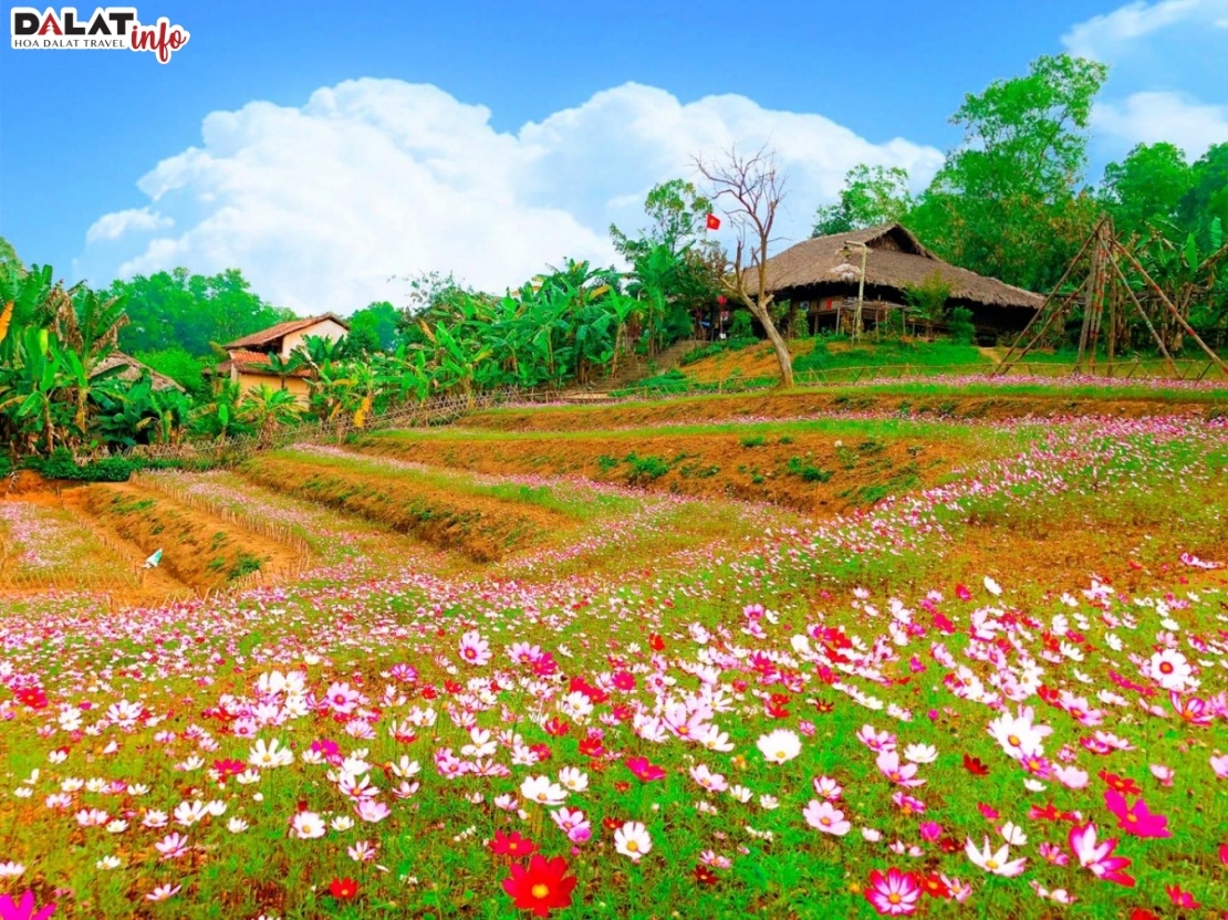 Khung cảnh thiên nhiên tươi đẹp tại làng nghề văn hóa các dân tộc Việt