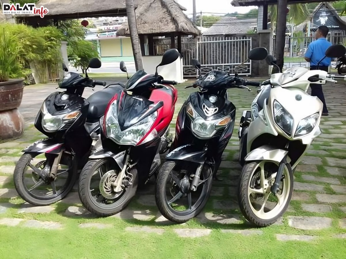 Cửa hàng thuê xe máy Nhi Nguyễn – Bình Thuận