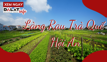 Làng Rau Trà Quế Hội An