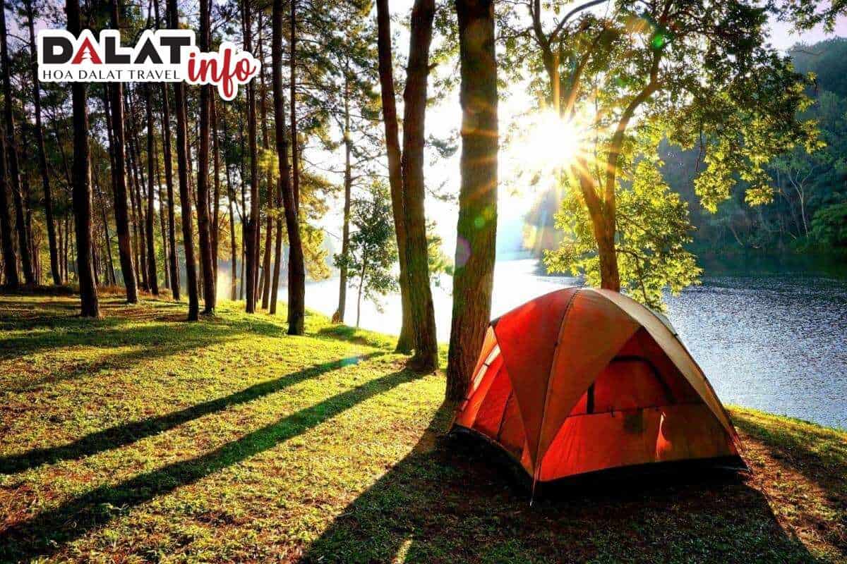 Kết hợp cắm trại tại khu du lịch Thung Lũng Vàng Đà Lạt