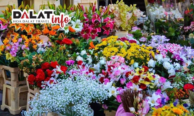 Thời điểm đi chợ hoa ở Đà Lạt