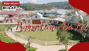 Puppy Farm Đà Lạt