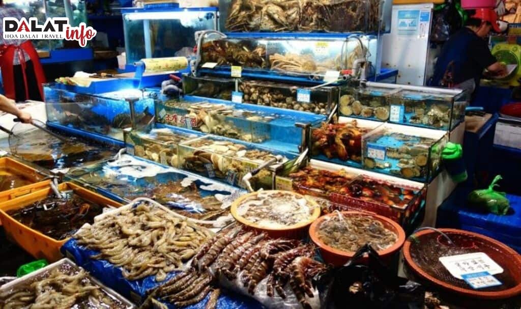 Cá tầm chợ hải sản Đà Lạt