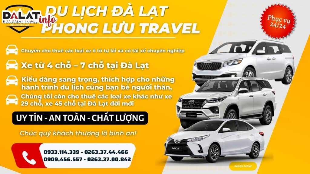 Phong Lưu Travel