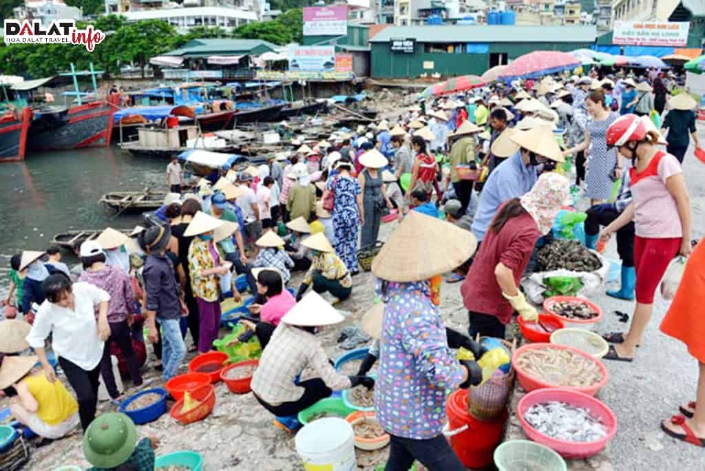 Chợ hải sản Hòn Gai tấp nập thuyền
