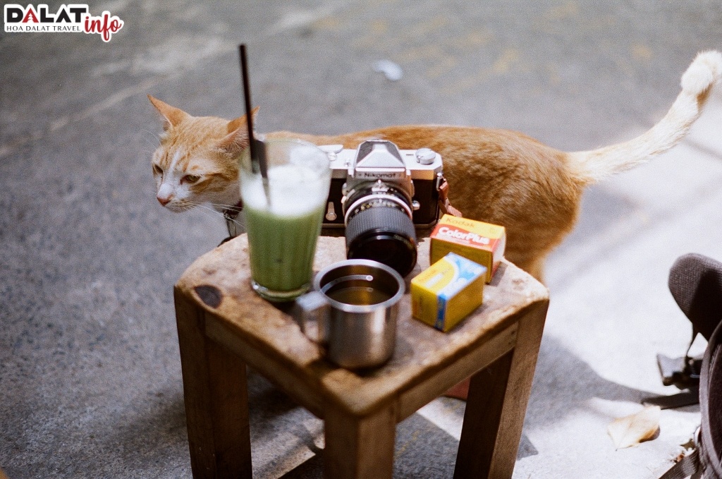 Darkroom - Cafe, Films & Lab service quận 1