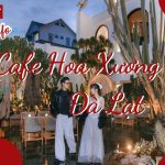 Cafe Hoa Xương Rồng Đà Lạt