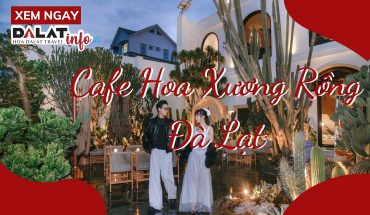 Cafe Hoa Xương Rồng Đà Lạt