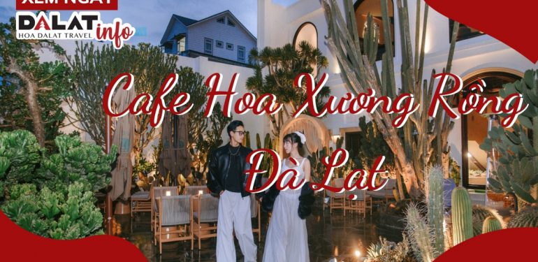 Cafe Hoa Xương Rồng Đà Lạt